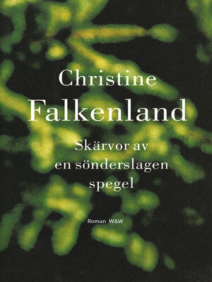 cover image of Skärvor av en sönderslagen spegel